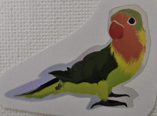 Small Sticker - Bird Series - Image 3