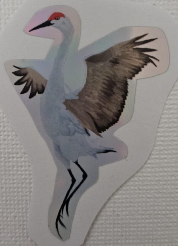 Small Sticker - Bird Series - Image 5
