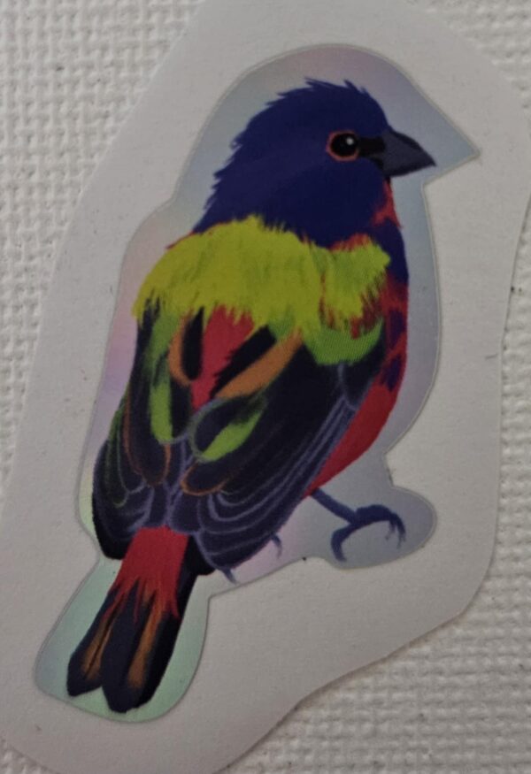 Small Sticker - Bird Series - Image 2